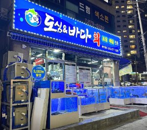 실외